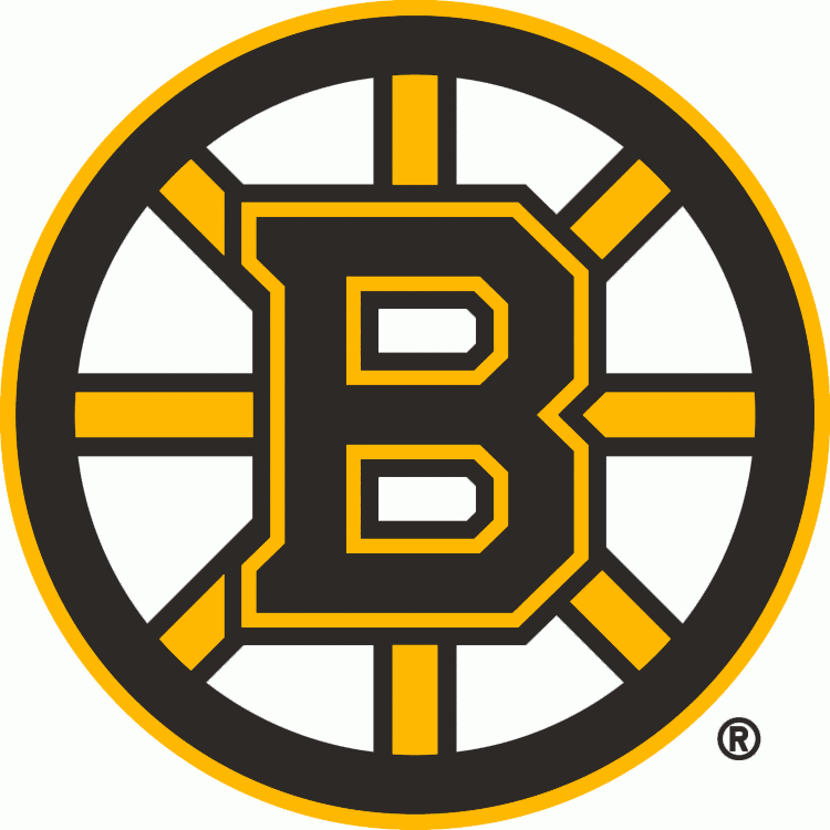 Boston Bruins 2007-Pres Primary Logo iron on transfers for clothing...